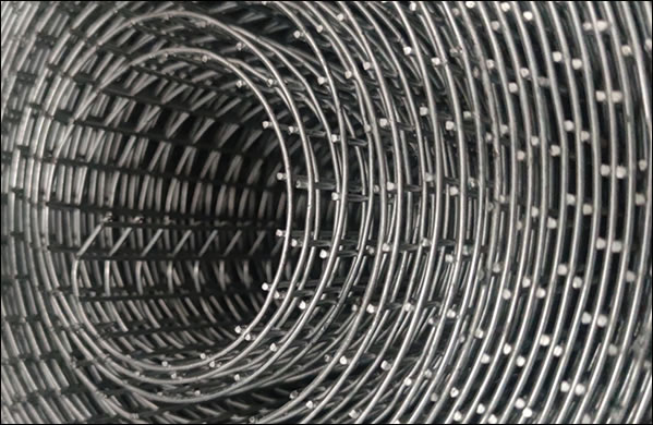 304 stainless steel welded wire mesh roll use for breeding